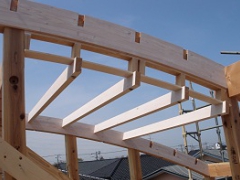 湾曲した屋根01