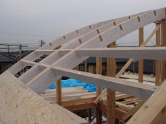 湾曲した屋根02